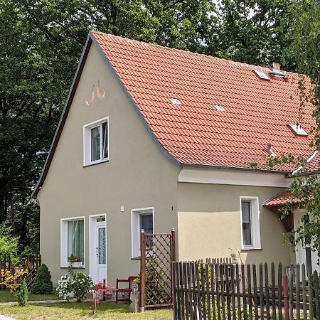 Helenes Ferienwohnung Auf Dem Bauernhof - Lausitzer Seenland Lauta Esterno foto