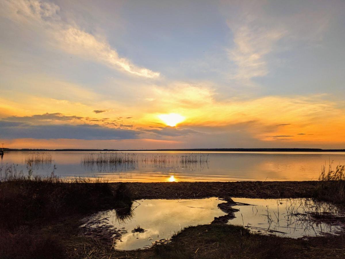 Helenes Ferienwohnung Auf Dem Bauernhof - Lausitzer Seenland Lauta Esterno foto