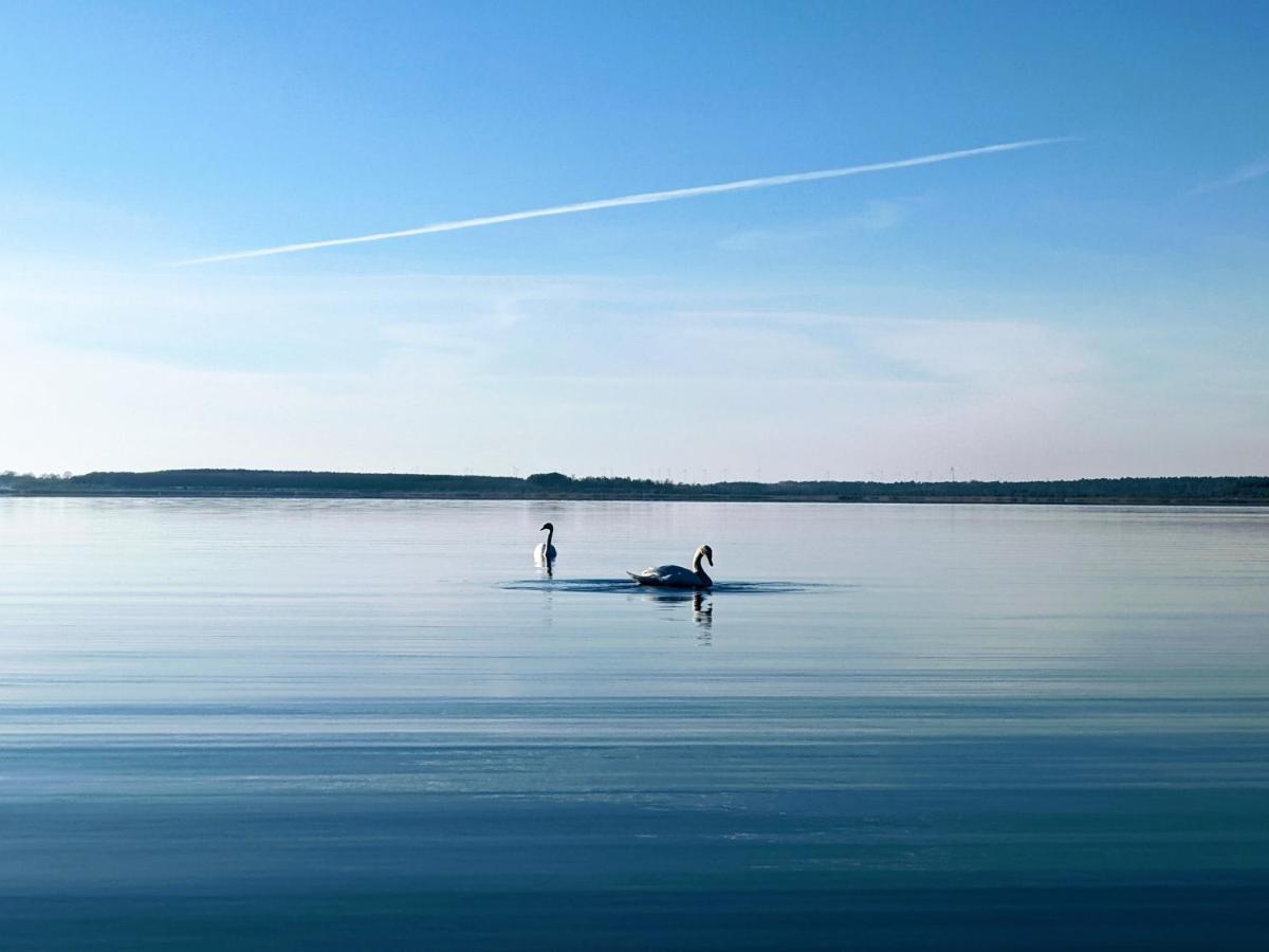 Helenes Ferienwohnung Auf Dem Bauernhof - Lausitzer Seenland Lauta Esterno foto