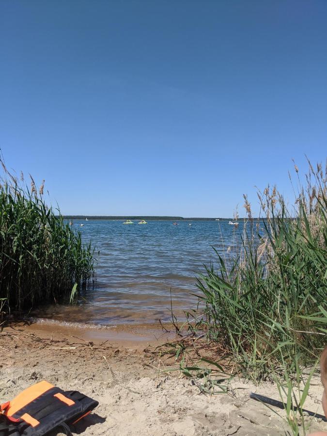 Helenes Ferienwohnung Auf Dem Bauernhof - Lausitzer Seenland Lauta Esterno foto